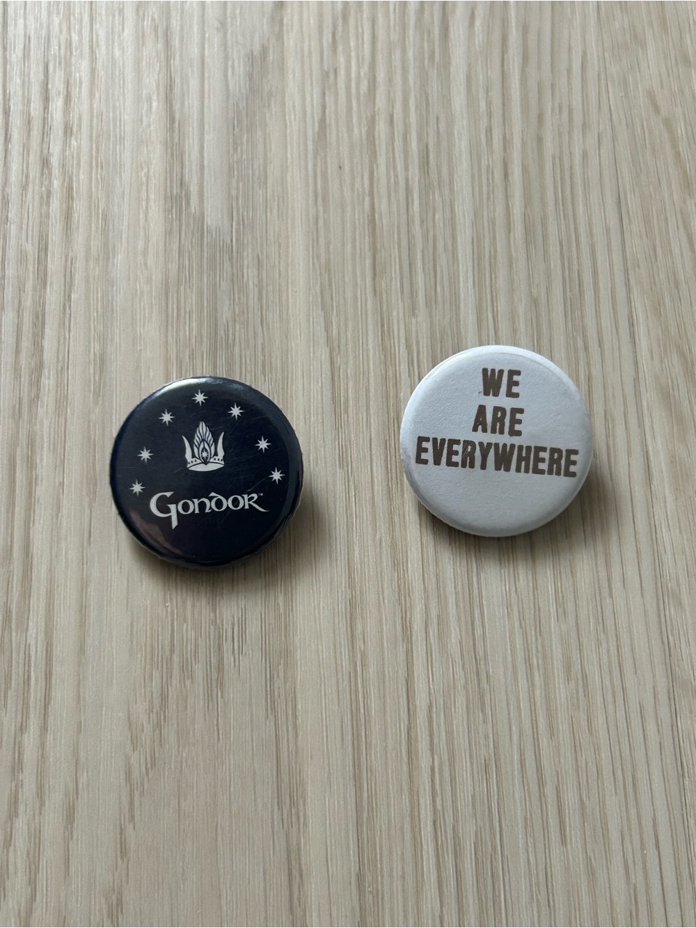 Gondor and We Are Everywhere Pins